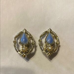 Elegant Blue Earrings